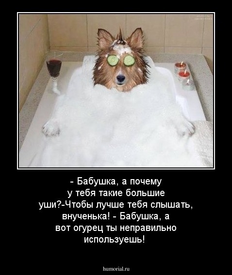 - Бабушка, а почему у тебя такие большие уши?-Чтобы лучше тебя слышать, внученька! - Бабушка, а вот огурец ты неправильно используешь!