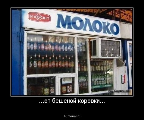 ...от бешеной коровки...