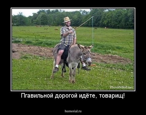 Пгавильной дорогой идёте, товарищ!