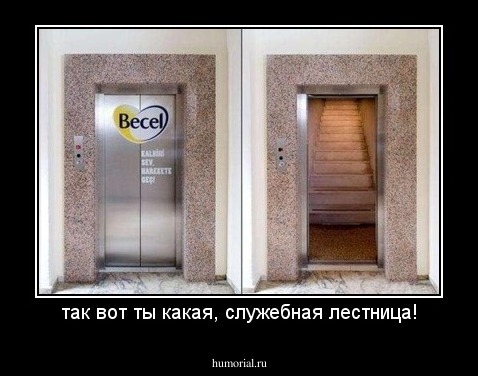 так вот ты какая, служебная лестница!
