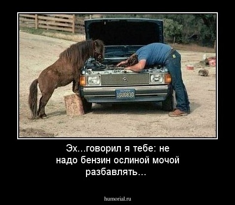 Эх...говорил я тебе: не надо бензин ослиной мочой разбавлять...