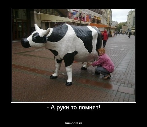 - А руки то помнят!