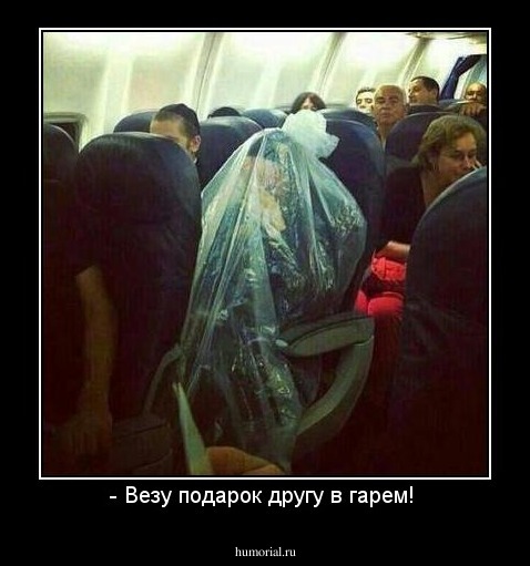 - Везу подарок другу в гарем! 