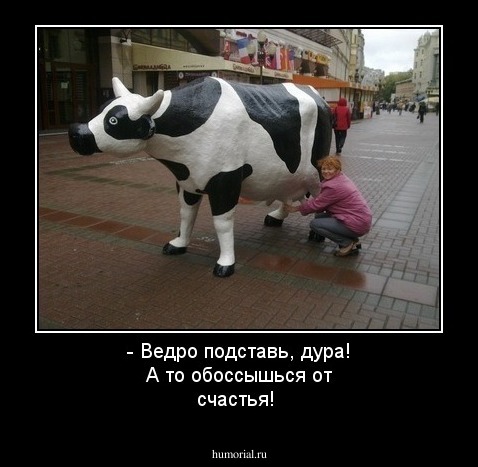 - Ведро подставь, дура! А то обоссышься от счастья!