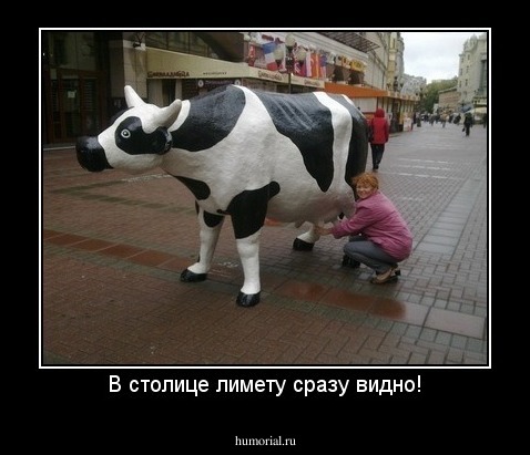 В столице лимету сразу видно!