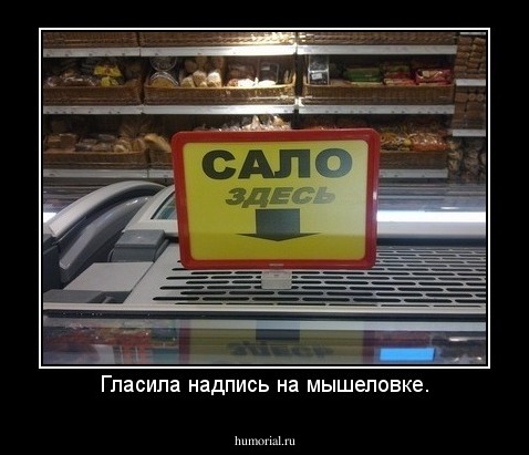 Гласила надпись на мышеловке.