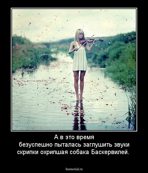 А в это время безуспешно пыталась заглушить звуки скрипки охрипшая собака Баскервилей.