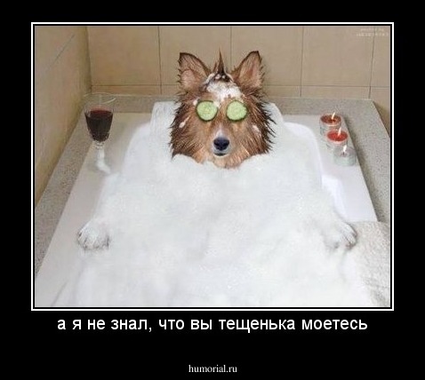 а я не знал, что вы тещенька моетесь