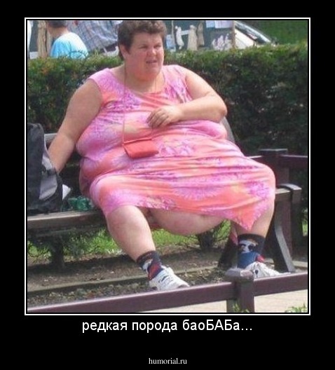 редкая порода баоБАБа...