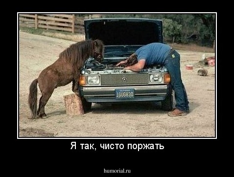 Я так, чисто поржать