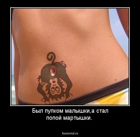 Был пупком малышки,а стал попой мартышки.