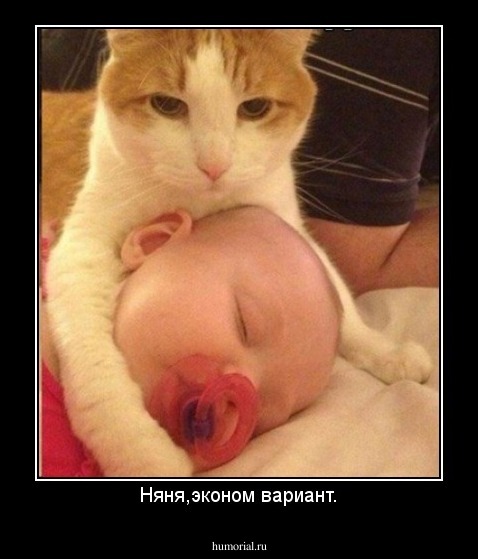 Няня,эконом вариант.
