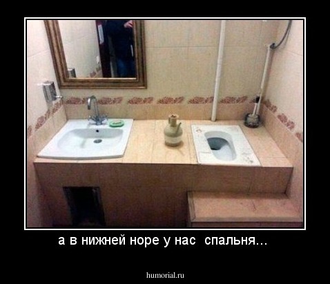 а в нижней норе у нас  спальня... 