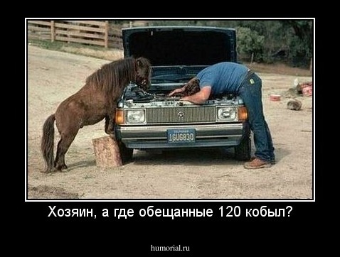 Хозяин, а где обещанные 120 кобыл?