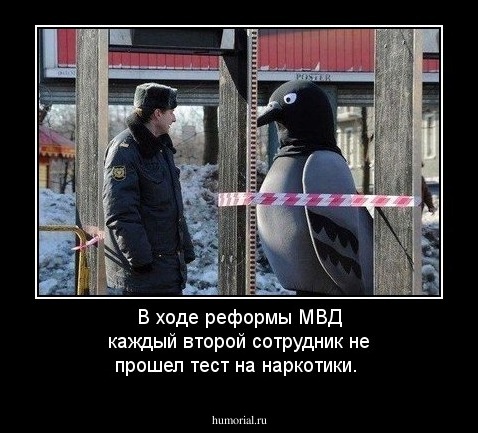 В ходе реформы МВД каждый второй сотрудник не прошел тест на наркотики.