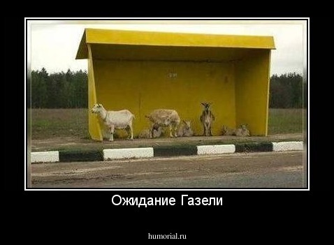 Ожидание Газели