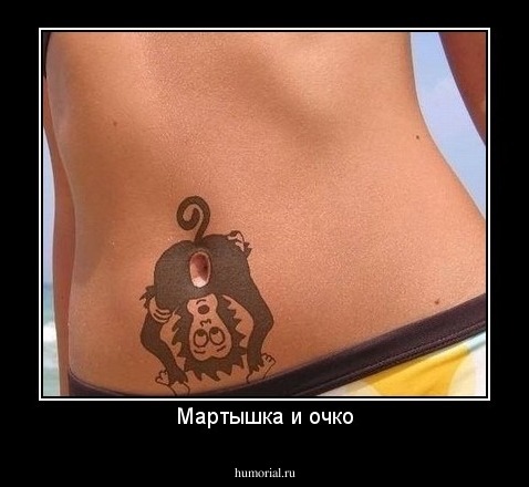 Мартышка и очко