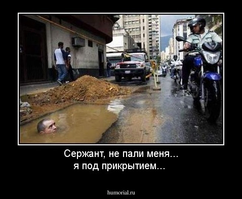 Сержант, не пали меня... я под прикрытием...