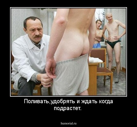 Поливать,удобрять и ждать когда подрастет.