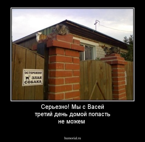 Серьезно! Мы с Васей третий день домой попасть не можем
