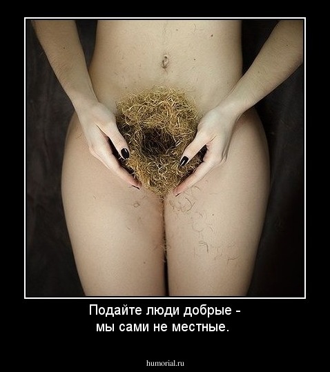 Подайте люди добрые - мы сами не местные.