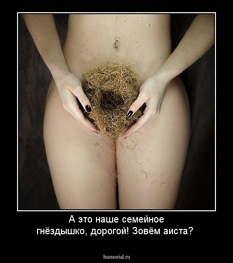 А это наше семейное гнёздышко, дорогой! Зовём аиста? 