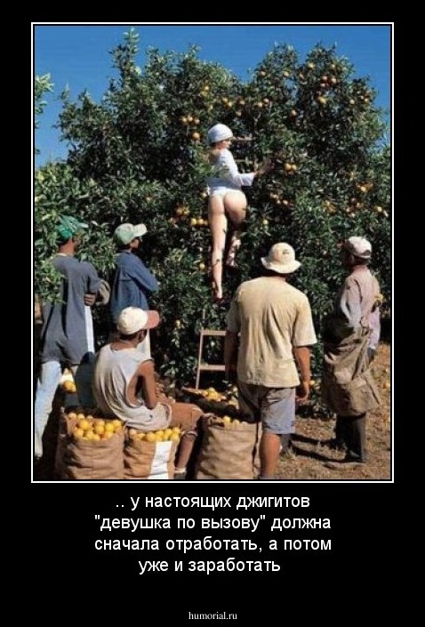 .. у настоящих джигитов "девушка по вызову" должна сначала отработать, а потом уже и заработать