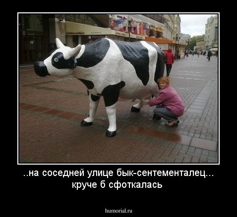 ..на соседней улице бык-сентементалец... круче б сфоткалась