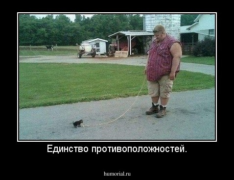 Единство противоположностей.