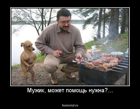 Мужик, может помощь нужна?...