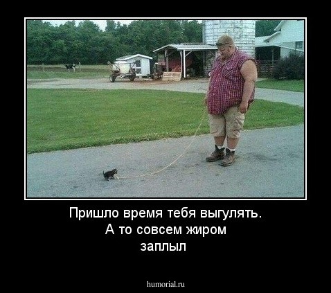 Пришло время тебя выгулять. А то совсем жиром заплыл