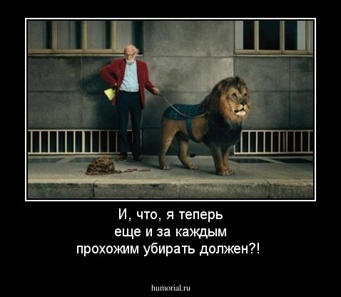 И, что, я теперь еще и за каждым прохожим убирать должен?!