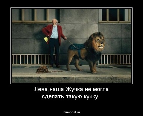 Лева,наша Жучка не могла сделать такую кучку.