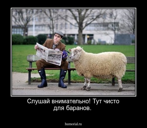 Слушай внимательно! Тут чисто для баранов.