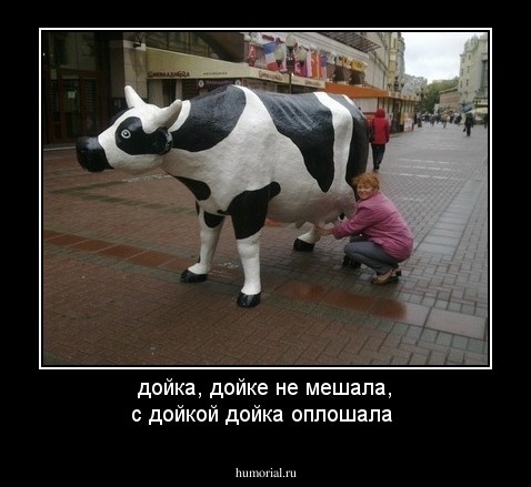 дойка, дойке не мешала, с дойкой дойка оплошала 