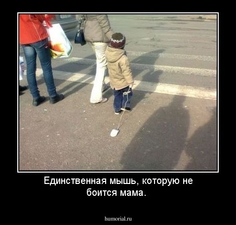 Единственная мышь, которую не боится мама.