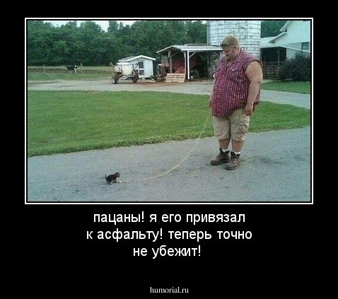 пацаны! я его привязал к асфальту! теперь точно не убежит!