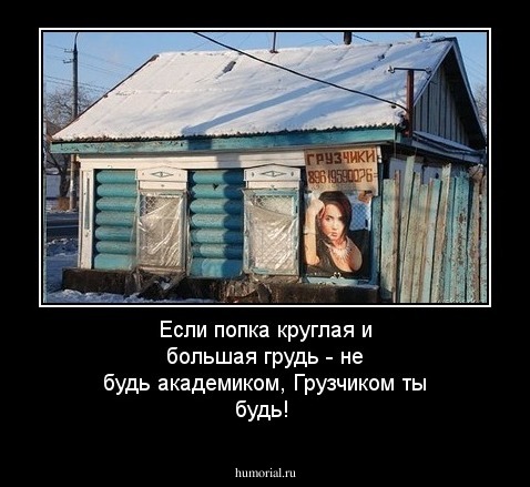 Если попка круглая и большая грудь - не будь академиком, Грузчиком ты будь!