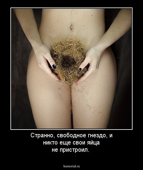 Странно, свободное гнездо, и никто еще свои яйца не пристроил. 