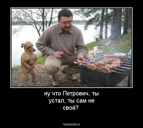 ну что Петрович, ты устал, ты сам не свой? 