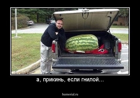 а, прикинь, если гнилой...