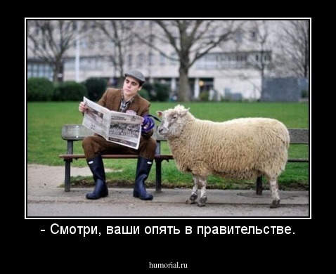 - Смотри, ваши опять в правительстве.