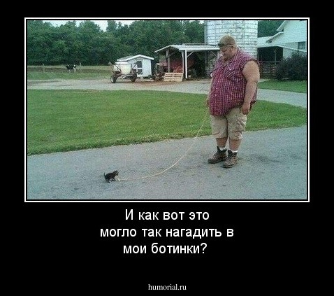 И как вот это могло так нагадить в мои ботинки?