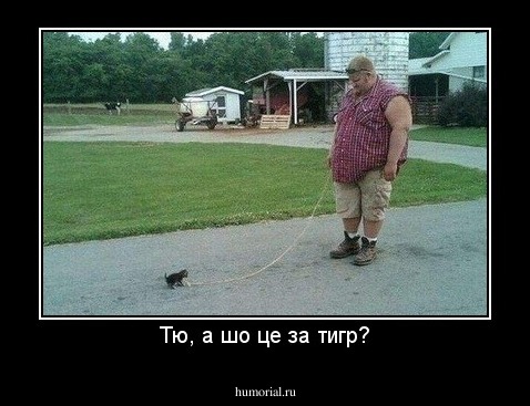 Тю, а шо це за тигр?