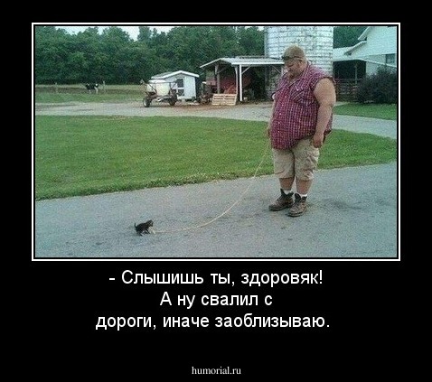- Слышишь ты, здоровяк! А ну свалил с дороги, иначе заоблизываю.
