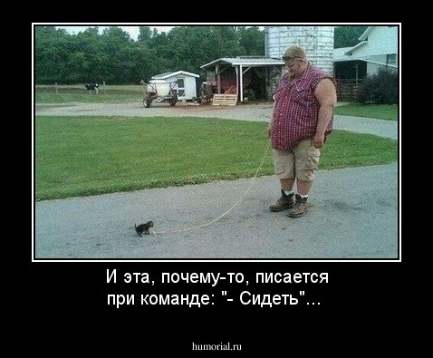 И эта, почему-то, писается при команде: "- Сидеть"...