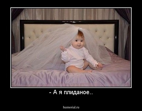 - А я плиданое..