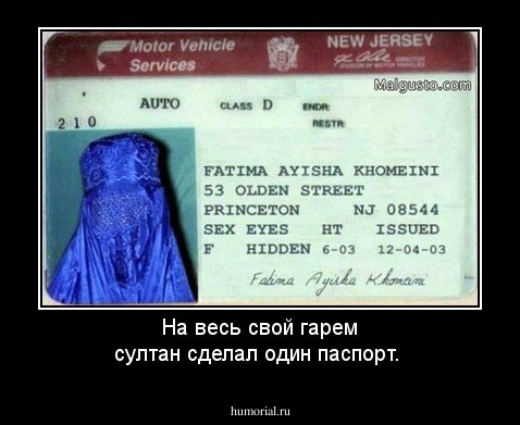 На весь свой гарем султан сделал один паспорт.