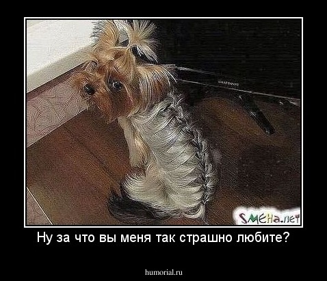 Ну за что вы меня так страшно любите?