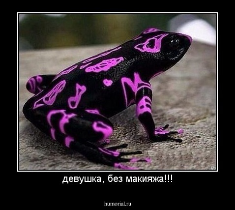 девушка, без макияжа!!!